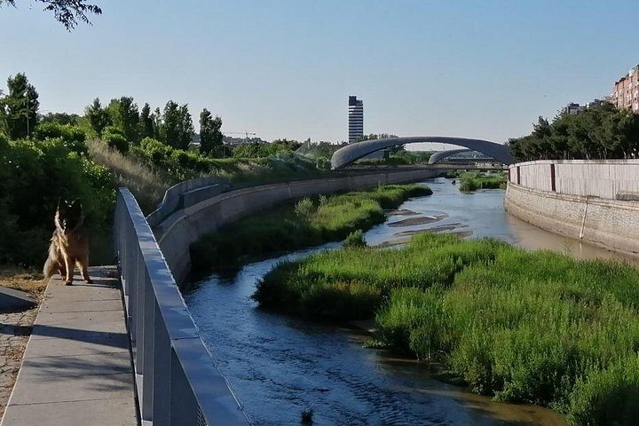 Siècle d’or le long du Manzanares (autoguidée) à Madrid : photo de l’offre Hellotickets