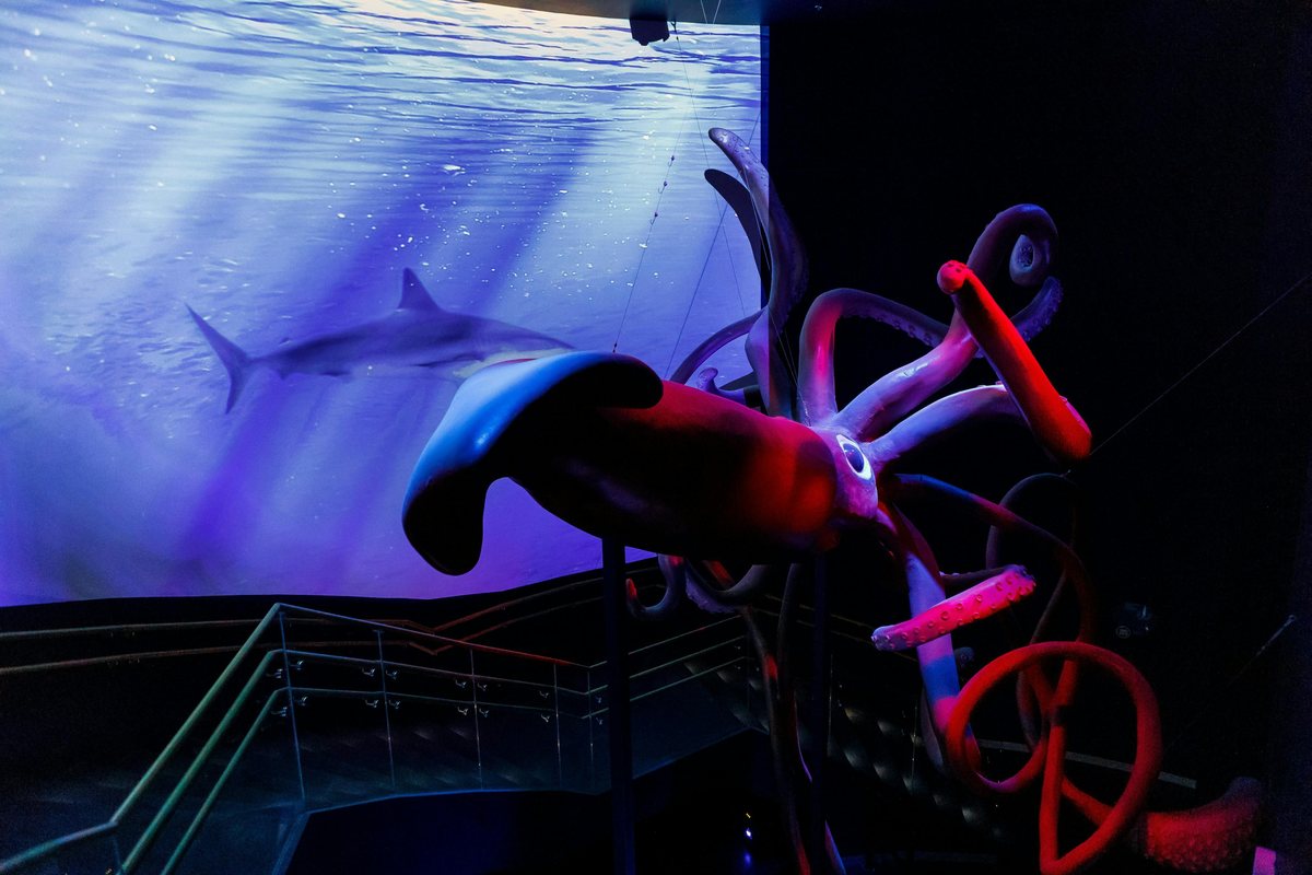 Aquarium Atlantis de Madrid : photo de l’offre Hellotickets