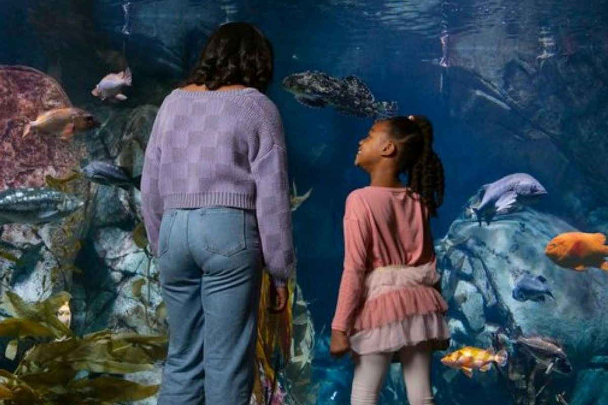 Aquarium of the Pacific à Los Angeles : photo de l’offre Hellotickets
