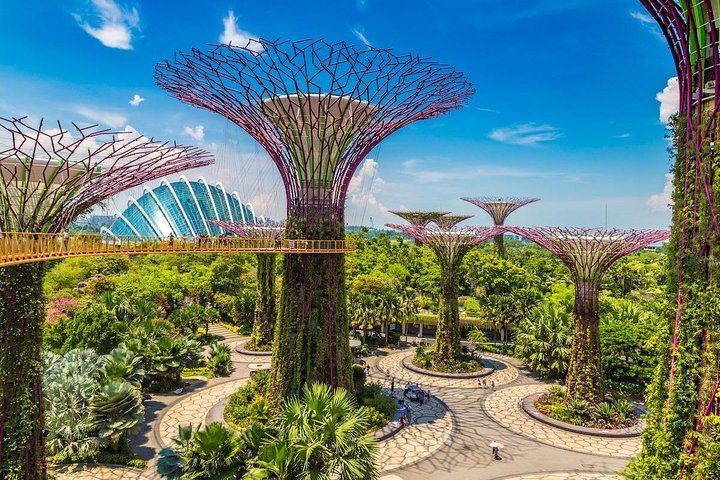 Gardens by the Bay à Singapour : photo de l’offre Hellotickets