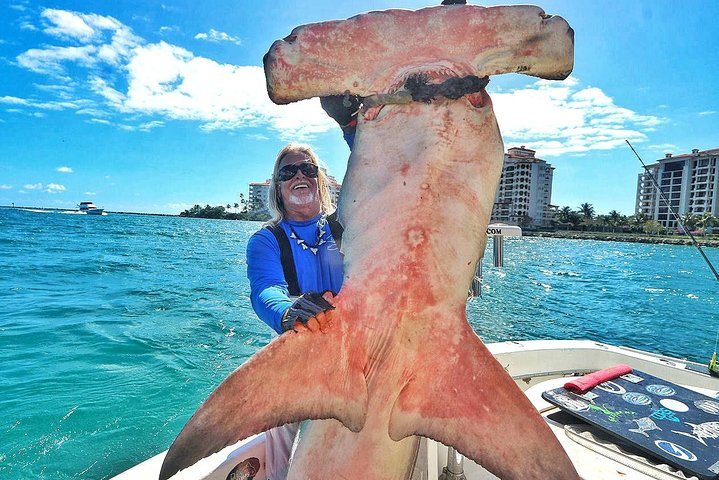 Excursion de pêche en haute mer à Miami : photo de l’offre Hellotickets