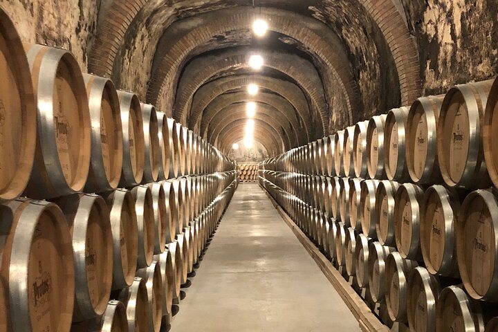 Caves de la Ribera del Duero depuis Madrid : photo de l’offre Hellotickets