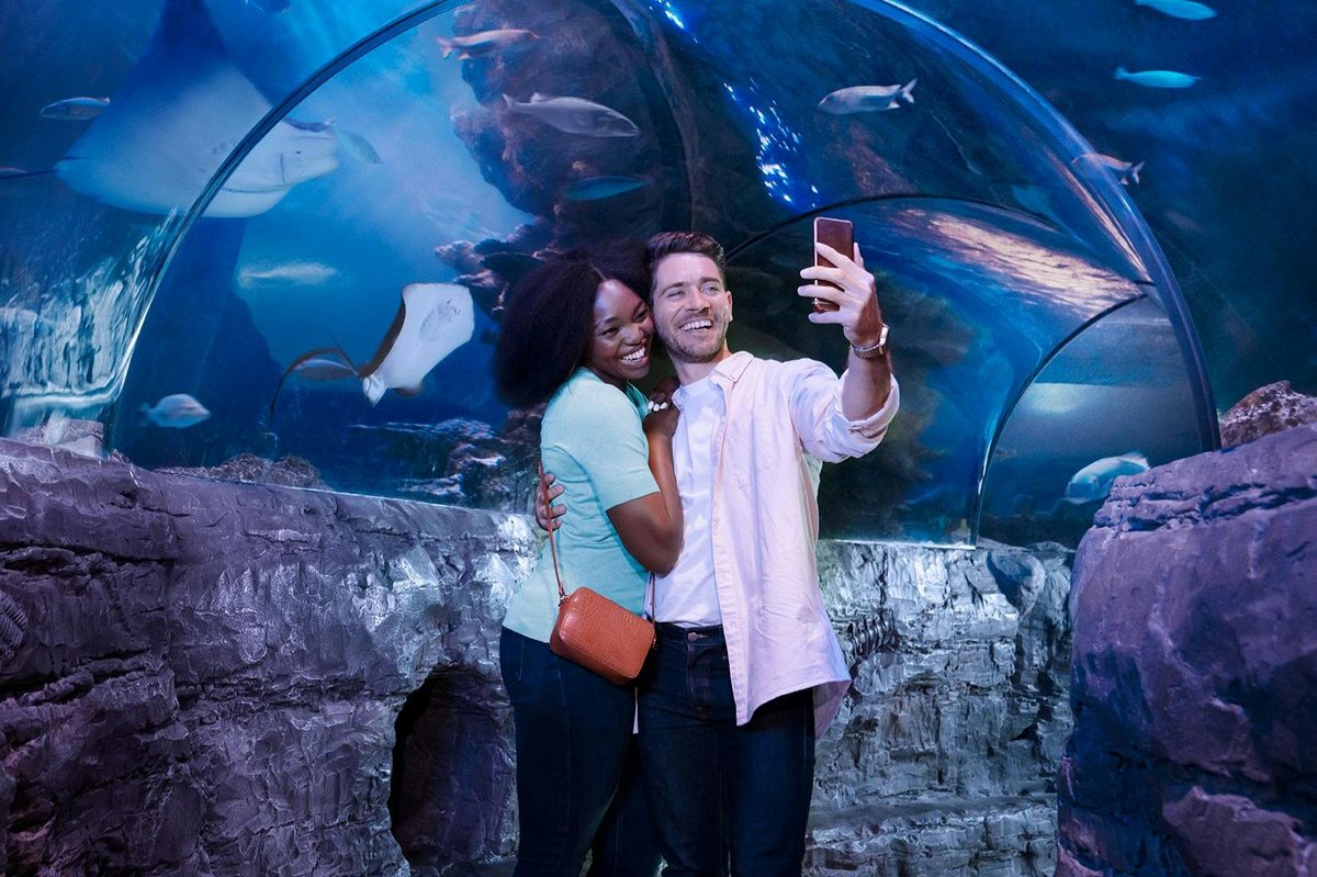 Sea Life London à Londres : photo de l’offre Hellotickets