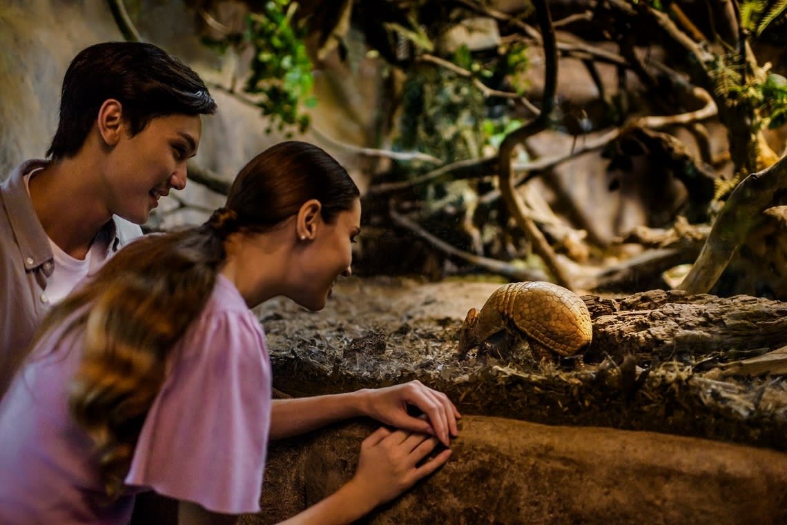 Avis Hellotickets Singapour : Night Safari de Singapour