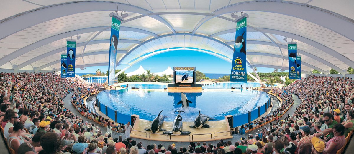 Avis Hellotickets Tenerife : Loro Parque à Tenerife