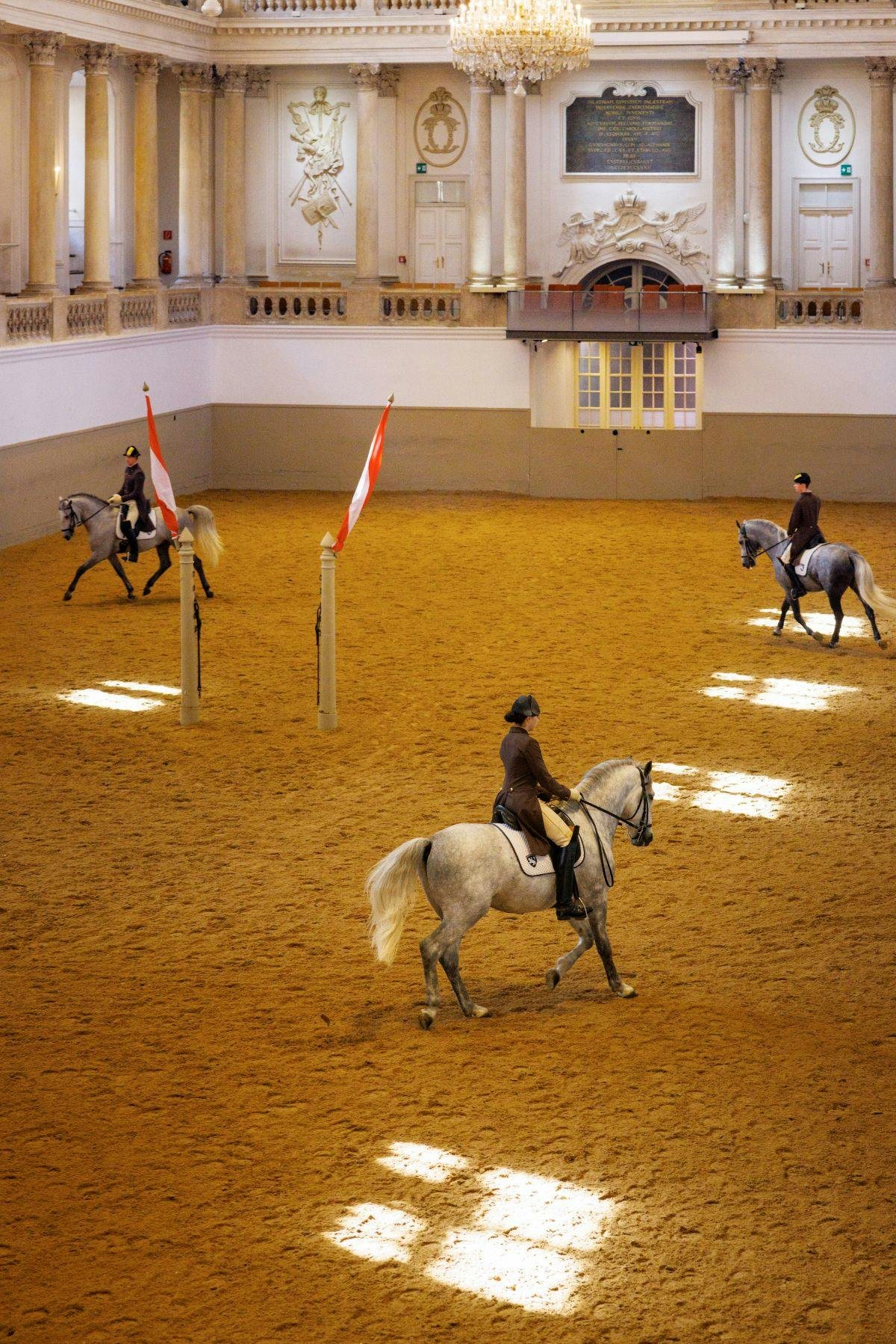 Avis Hellotickets Vienne : École espagnole d’équitation de Vienne