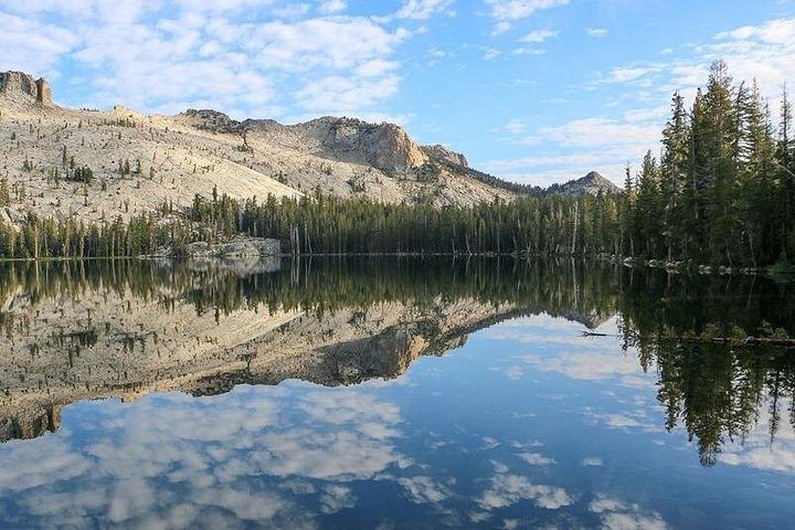 Excursion de 2 jours à Yosemite et Kings Canyon à Los Angeles : photo de l’offre Hellotickets